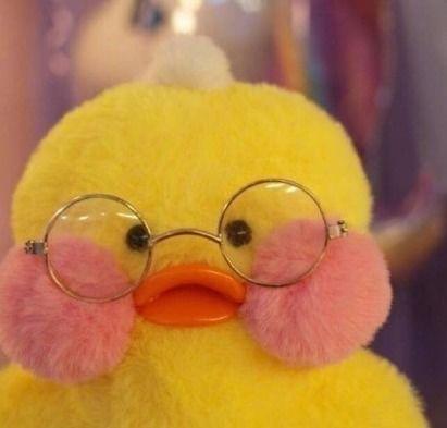 娱乐吃瓜鸭男人品种,吃瓜鸭视角下的男人品种大揭秘