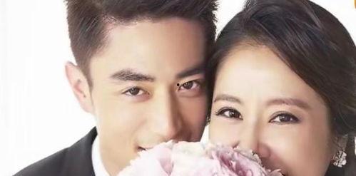 娱乐圈吃瓜夫妻小说推荐,揭秘那些隐藏在闪光灯下的爱情故事